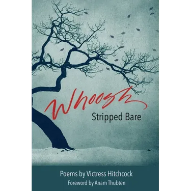Whoosh Stripped Bare