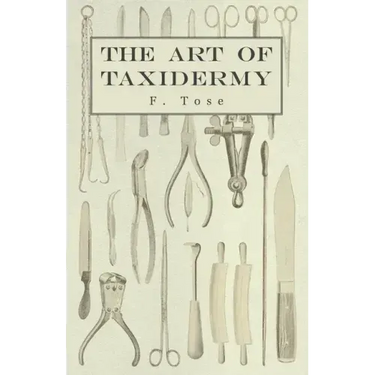 The Art of Taxidermy