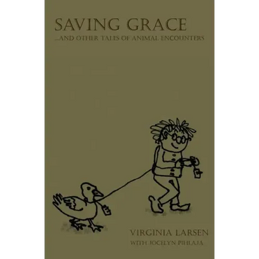 Saving Grace...and Other Tales of Animal Encounters
