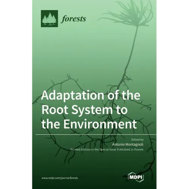 Adaptation of the Root System to the Environment