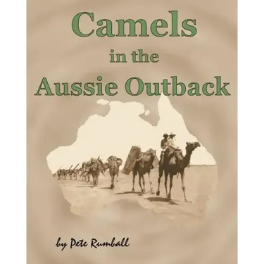 Camels in the Aussie Outback