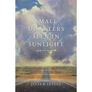 Small Disasters Seen in Sunlight