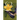 Life, Love, and Lupus