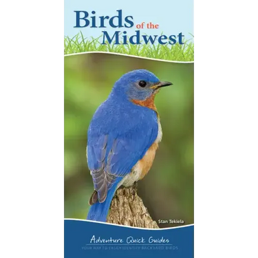 Birds of the Midwest: Identify Backyard Birds with Ease