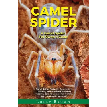 Camel Spider: A Camel Spider Pet Owner's Guide