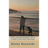 The Adventures of a Cape Cod Pet Sitter