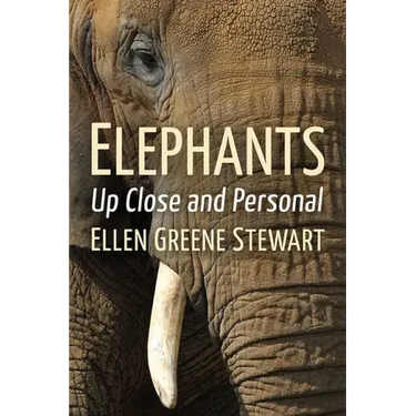 Elephants: Up Close and Personal