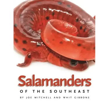 Salamanders of the Southeast