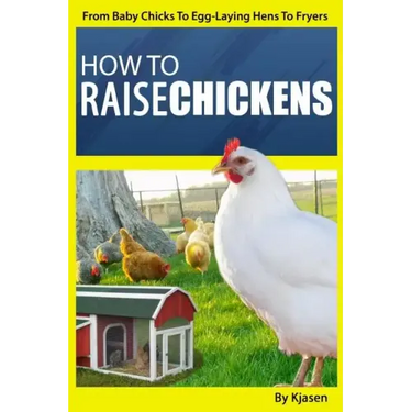 How To Raise Chickens: From Baby Chicks To Egg-Laying Hens To Fryers