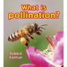 What Is Pollination?