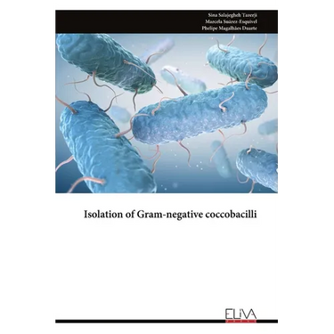 Isolation of Gram-negative coccobacilli