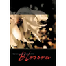 Blossom