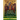 The Great Doctrines of the Bible: Beliefs in God, Jesus Christ, the Holy Spirit, Salvation, The Church and Heaven's Angels