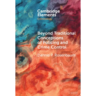 Beyond Traditional Conceptions of Policing and Crime Control