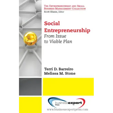Social Entrepreneurship: From Issue to Viable Plan