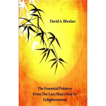The Essential Pointers From The Lazy Man's Way To Enlightenment