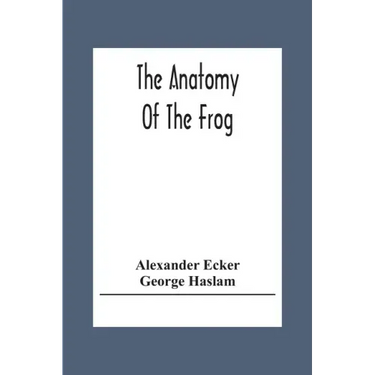 The Anatomy Of The Frog