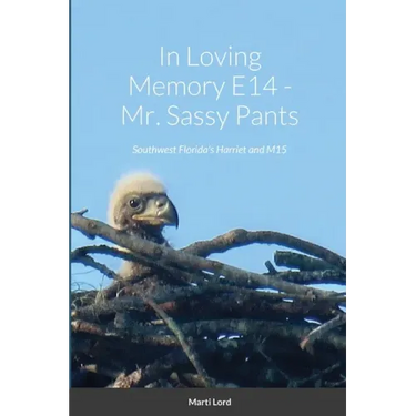 In Loving Memory E14 - Mr. Sassy Pants: Southwest Florida's Harriet and M15