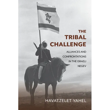 The Tribal Challenge: Alliances and Confrontations in the Israeli Negev