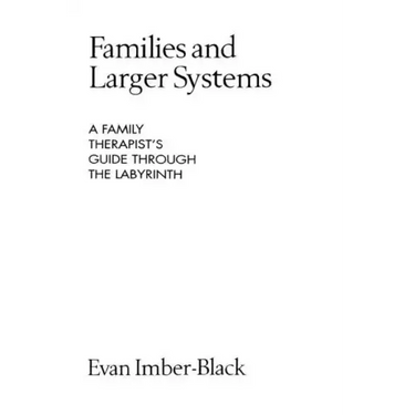 Families and Larger Systems: A Family Therapist's Guide Through the Labyrinth