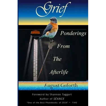 Grief: Ponderings From The Afterlife