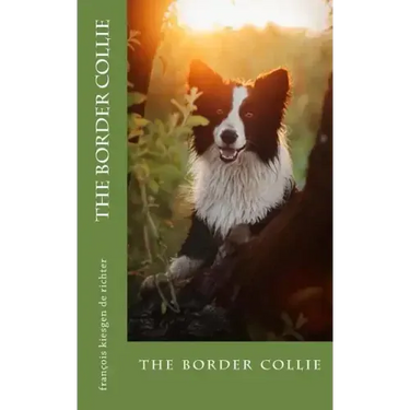 The border collie: the border collie