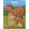 Rodents Coloring Book 2