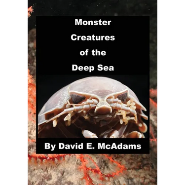 Monster Creatures of the Deep Sea
