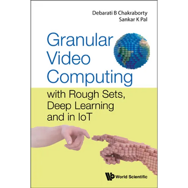 Granular Video Computing