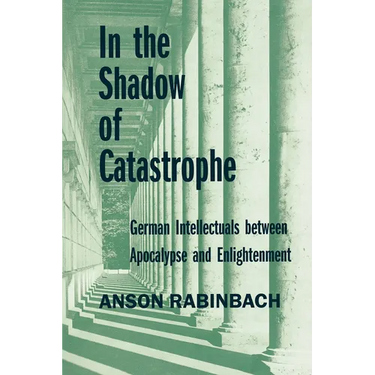In the Shadow of Catastrophe: German Intellectuals Between Apocalypse and Enlightenment Volume 14