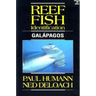 Reef Fish Identification Galapagos