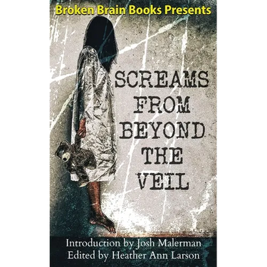 Screams From Beyond The Veil: A Horror Anthology