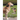 Structure of the Dog: Basic Course