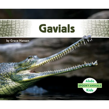 Gavials