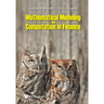 Mathematical Modeling and Computation in Finance