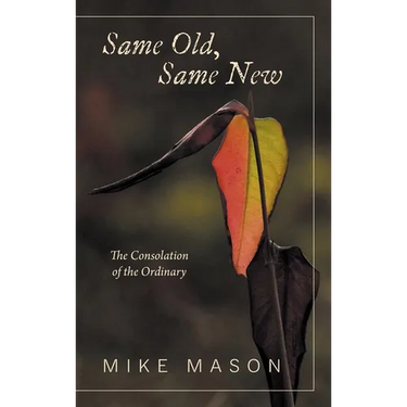 Same Old, Same New: The Consolation of the Ordinary