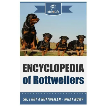 Encyclopedia of Rottweilers: So, I Got a Rottweiler What Now?