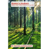 Sunna's Journey: Norse Liturgy Through the Wheel of the Year