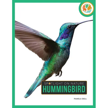 Hummingbird