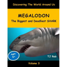 Megalodon: The Biggest and Deadliest SHARK (Age 5 - 8)