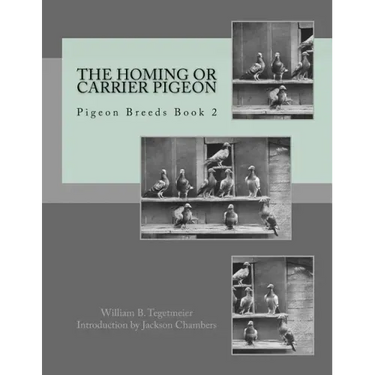 The Homing or Carrier Pigeon: Pigeon Breeds Book 2