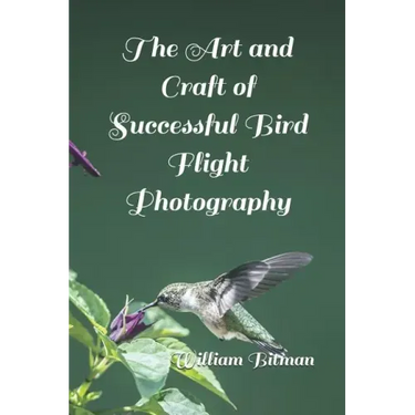 The Art and Craft of Successful Bird Flight Photography