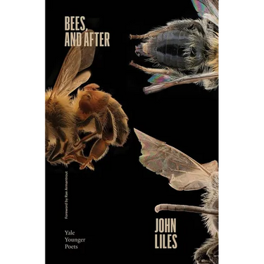 Bees, and After: Volume 119