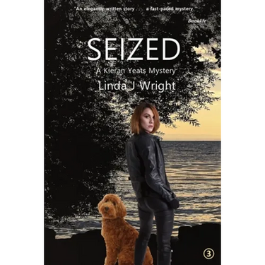 Seized: A Kieran Yeats Mystery