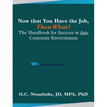 Now that You Have the Job, Then What?: The Handbook for Success in Any Corporate Environment