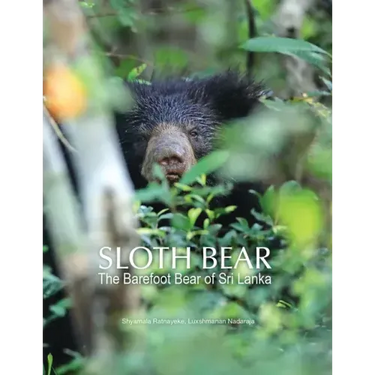 Sloth Bear: The Barefoot Bear of Sri Lanka