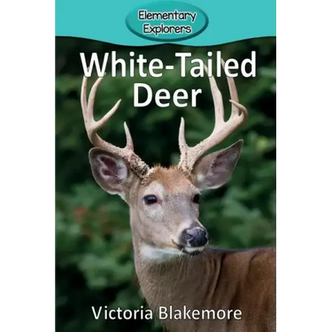 White-Tailed Deer