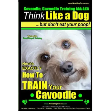 Cavoodle, Cavoodle Training AAA AKC: Think Like a Dog But Don't Eat Your Poop! Cavoodle Expert Dog Training: Here's EXACTLY How To TRAIN Your Cavoodle