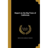 Report on the Big Trees of California