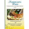 Flowers With Wings: Butterfly Photographs Coffee Table Books for Kindle